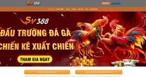 Review nhà cái đá gà trực tiếp: Sv388